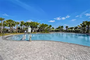 3139 Marine Grass Dr, Wimauma, FL 33598 - Photo 58