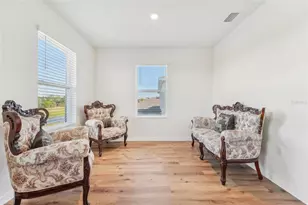 16946 Oval Rum Dr, Wimauma, FL 33598 - Photo 42