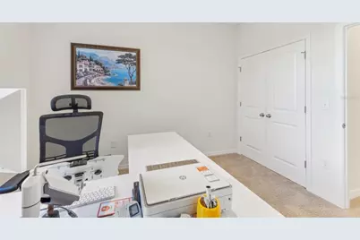 16946 Oval Rum Dr., Wimauma, FL 33598 - Photo 24