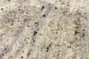 880 Mandalay Ave, Clearwater Beach, FL 33767 - Photo 32