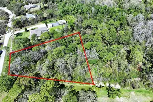 Red Oak Loop, New Port Richey, FL 34654 - Photo 4
