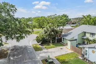 10306 Greengrove Pl, Tampa, FL 33624 - Photo 48