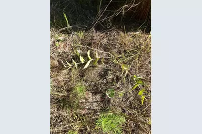 01 Unnamed, Spring Hill, FL 34610 - Photo 44