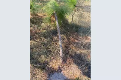 01 Unnamed, Spring Hill, FL 34610 - Photo 80