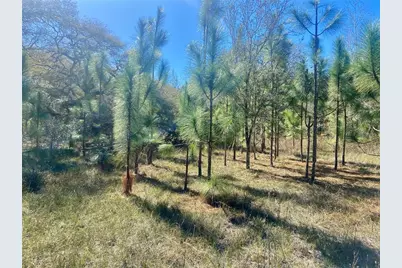 01 Unnamed, Spring Hill, FL 34610 - Photo 56