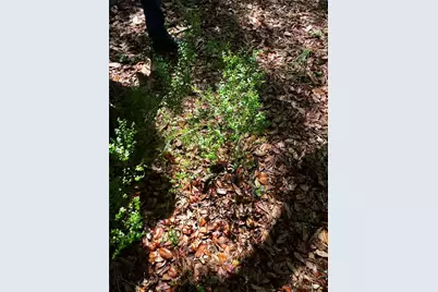01 Unnamed, Spring Hill, FL 34610 - Photo 66