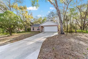 39832 N Hibiscus Way, Lady Lake, FL 32159 - Photo 28