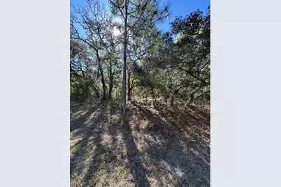 7 Sweetbay Court, Homosassa, FL 34446 - Photo 6