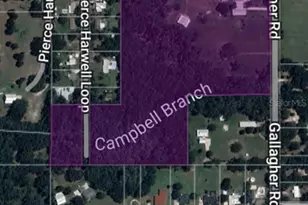 3709 Gallagher Rd, Plant City, FL 33565 - Photo 60