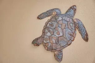 36750 US 19 N, Palm Harbor, FL 34684 - Photo 32