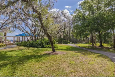 4206 Preserve Place, Palm Harbor, FL 34685 - Photo 38