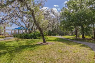 4206 Preserve Pl, Palm Harbor, FL 34685 - Photo 38