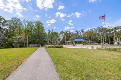 4206 Preserve Place, Palm Harbor, FL 34685 - Photo 50