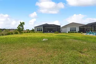 33500 Castaway Loop, Wesley Chapel, FL 33543 - Photo 92