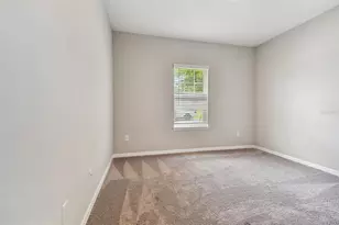 33500 Castaway Loop, Wesley Chapel, FL 33543 - Photo 74