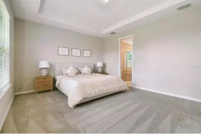 33500 Castaway Loop, Wesley Chapel, FL 33543 - Photo 40