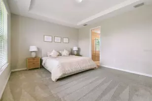 33500 Castaway Loop, Wesley Chapel, FL 33543 - Photo 40