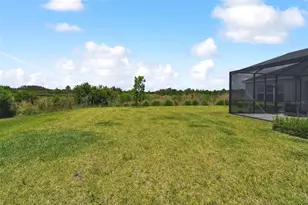 33500 Castaway Loop, Wesley Chapel, FL 33543 - Photo 90