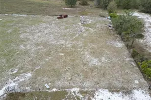 17273 Alderman Turner Rd, Wimauma, FL 33598 - Photo 30