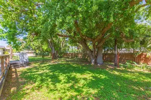 6426 31st St S, Saint Petersburg, FL 33712 - Photo 36