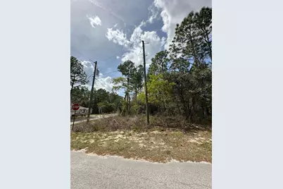 2 Fringetree Court, Homosassa, FL 34446 - Photo 2