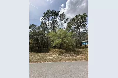 2 Fringetree Court, Homosassa, FL 34446 - Photo 1