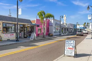 2050 N Pointe Alexis Dr, Tarpon Springs, FL 34689 - Photo 78