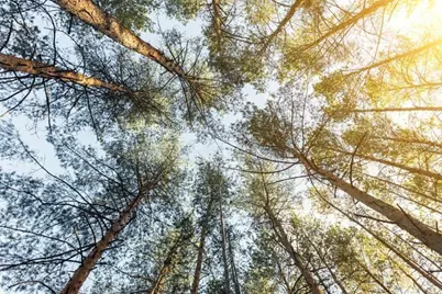 715 Hibiscus Drive, Indian Lake Estates, FL 33855 - Photo 1