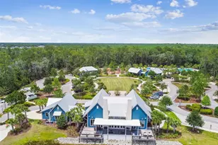 16822 Balance Cv, Land O Lakes, FL 34638 - Photo 70