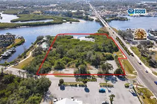 N Pinellas Ave, Tarpon Springs, FL 34689 - Photo 1