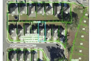 36541 Night Strawberry Ct, Dade City, FL 33525 - Photo 6