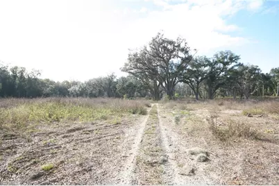 Us Hwy 301 Tbd, Citra, FL 32113 - Photo 32