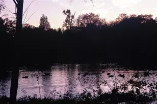 5050 68th Way N, Saint Petersburg, FL 33709 - Photo 24