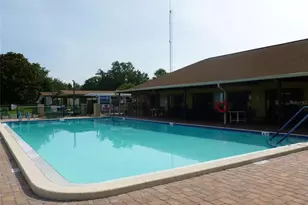 3114 Briar St St, Wesley Chapel, FL 33543 - Photo 36
