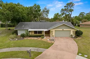 112 Rosewood Ct, Palm Harbor, FL 34685 - Photo 1