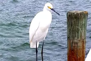 6161 Gulf Winds Dr, Saint Pete Beach, FL 33706 - Photo 24