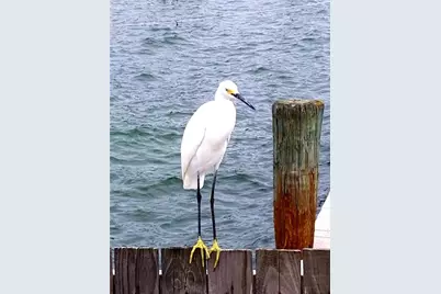 6161 Gulf Winds Drive #338, Saint Pete Beach, FL 33706 - Photo 28