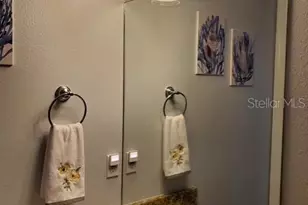 6407 Mayra Shores Ln, Apollo Beach, FL 33572 - Photo 26