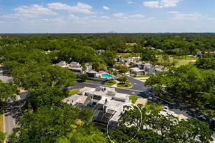 4207 Fairway Run, Tampa, FL 33618 - Photo 56
