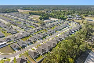 1312 Peach Crk Dr, Osteen, FL 32764 - Photo 10