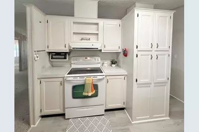 34150 Estates Lane, Wesley Chapel, FL 33543 - Photo 10