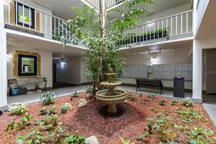 3325 Bayshore Blvd, Tampa, FL 33629 - Photo 6