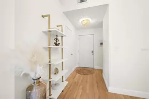 6131 Bahia Del Mar Blvd, Saint Petersburg, FL 33715 - Photo 6