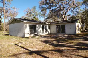 4405 Coconut Cove Pl, Valrico, FL 33596 - Photo 4