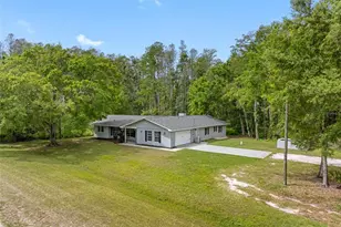 346 Ranch Rd, Tarpon Springs, FL 34688 - Photo 4