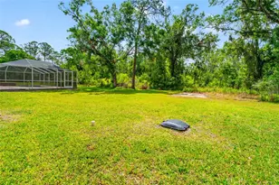 28628 Bennington Dr, Wesley Chapel, FL 33544 - Photo 46