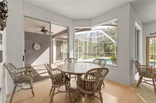 1003 Berkshire Ln, Tarpon Springs, FL 34688 - Photo 6