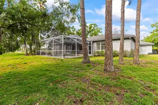 1003 Berkshire Ln, Tarpon Springs, FL 34688 - Photo 24