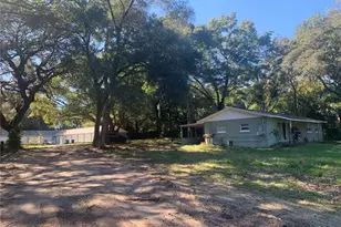832 S Parsons Ave, Brandon, FL 33511 - Photo 6