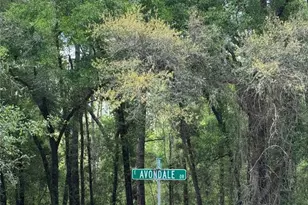 433 E Avondale Dr, Dunnellon, FL 34434 - Photo 1